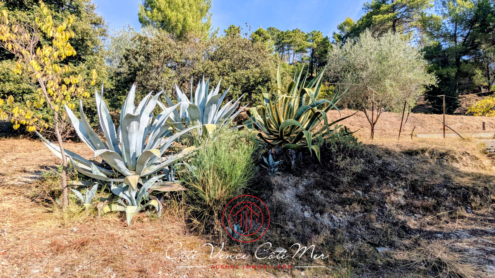 Image_, Maison, Saint-Martin-du-Var, ref :55