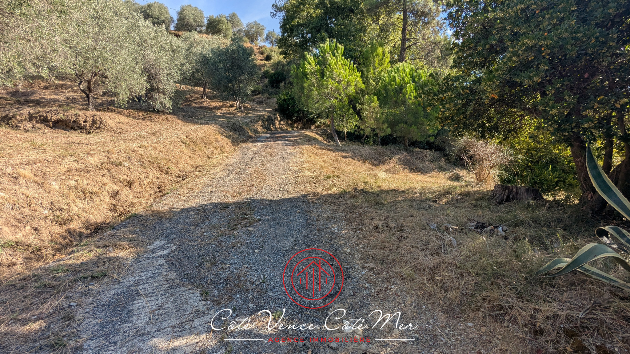 Image_, Maison, Saint-Martin-du-Var, ref :55