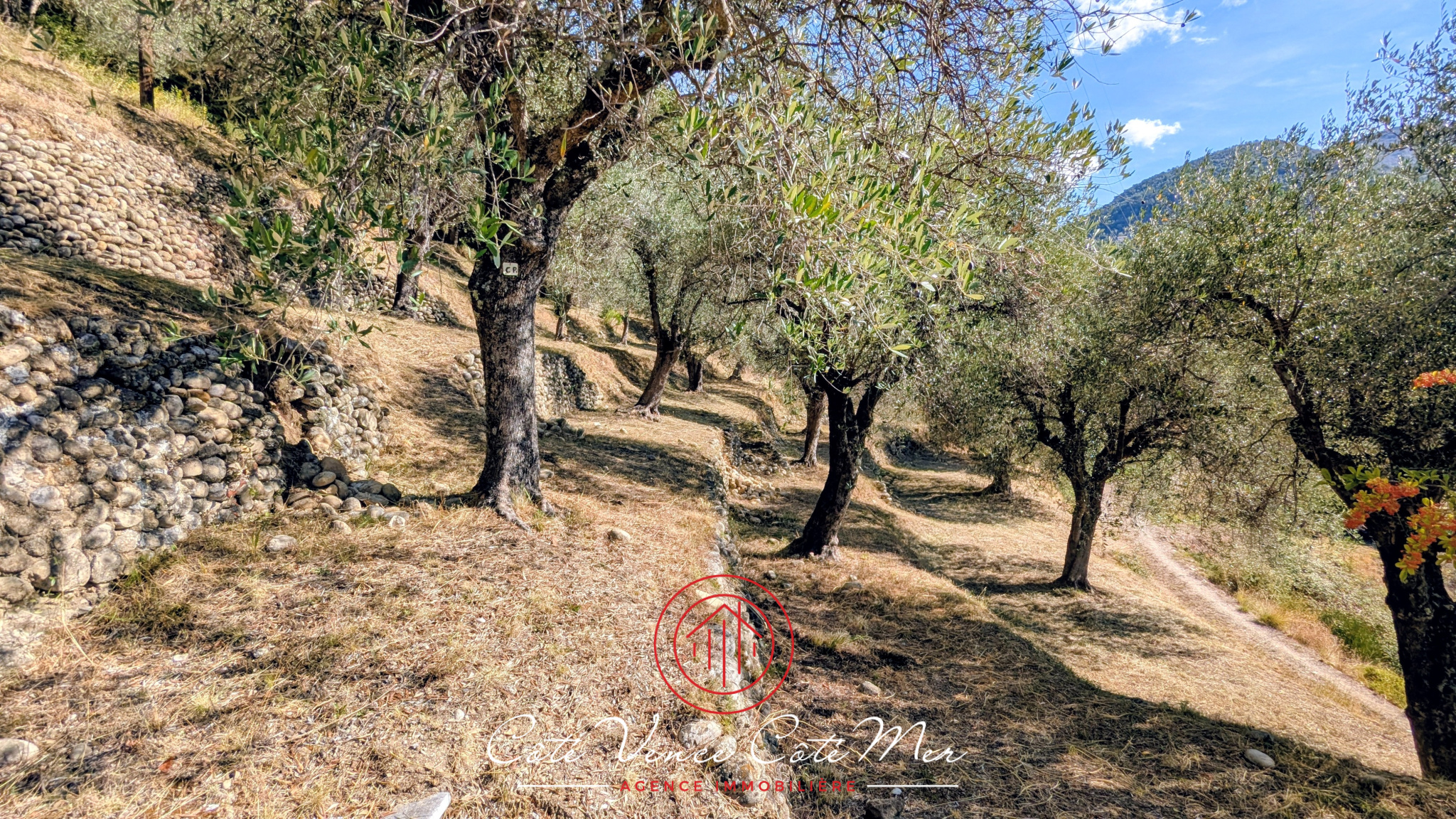 Image_, Maison, Saint-Martin-du-Var, ref :55