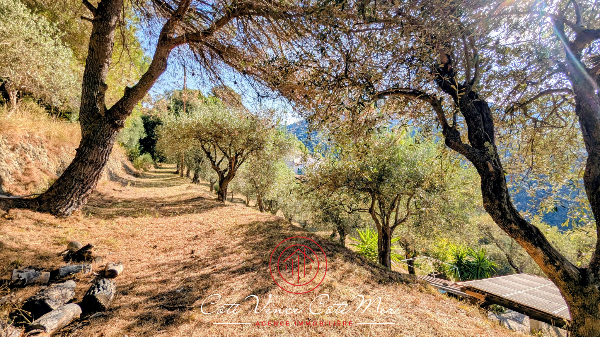 Image_, Maison, Saint-Martin-du-Var, ref :55