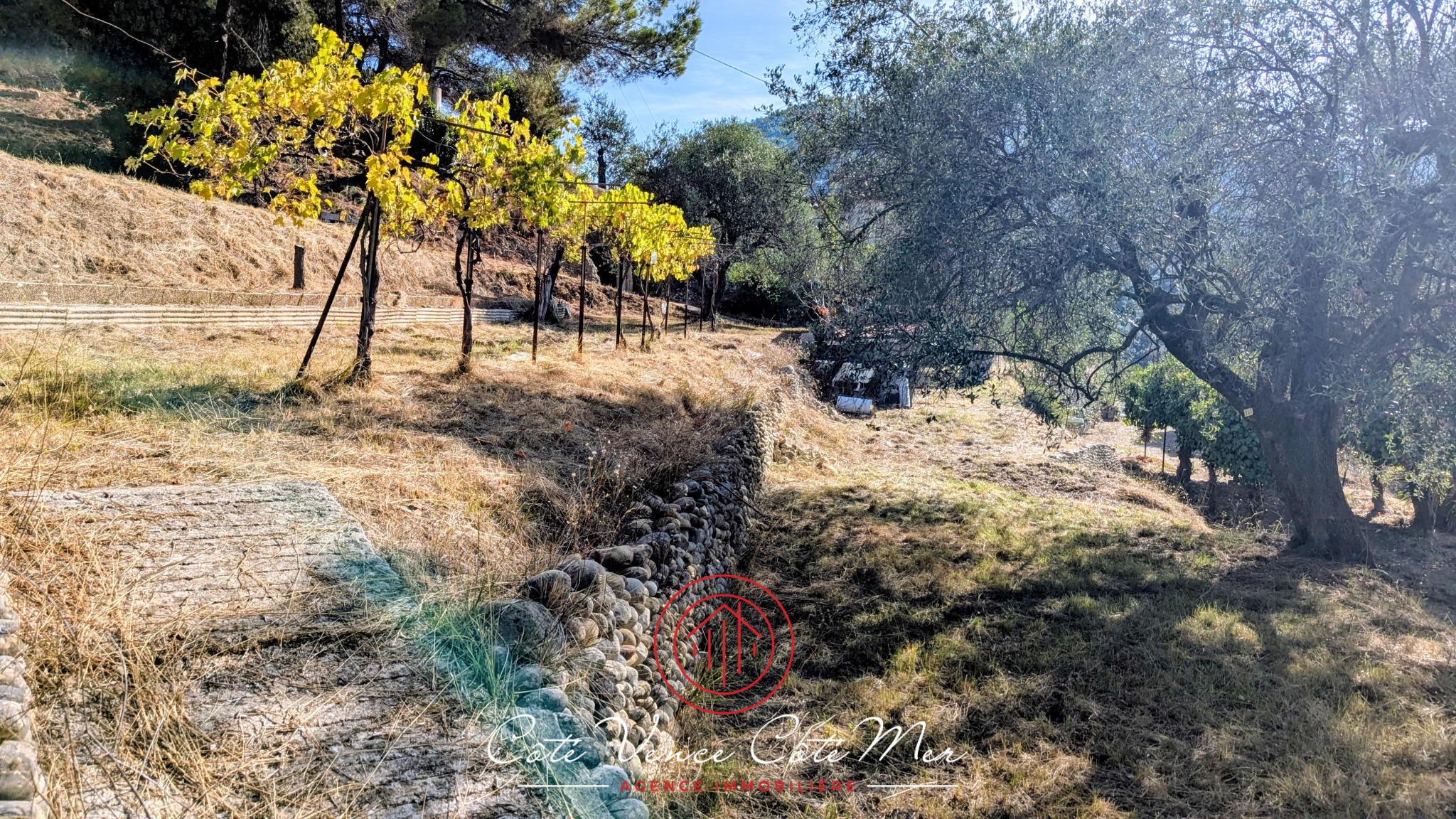 Image_, Maison, Saint-Martin-du-Var, ref :55