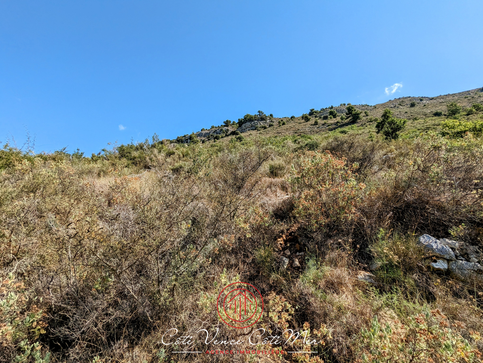 Image_, Terrain, Vence, ref :19